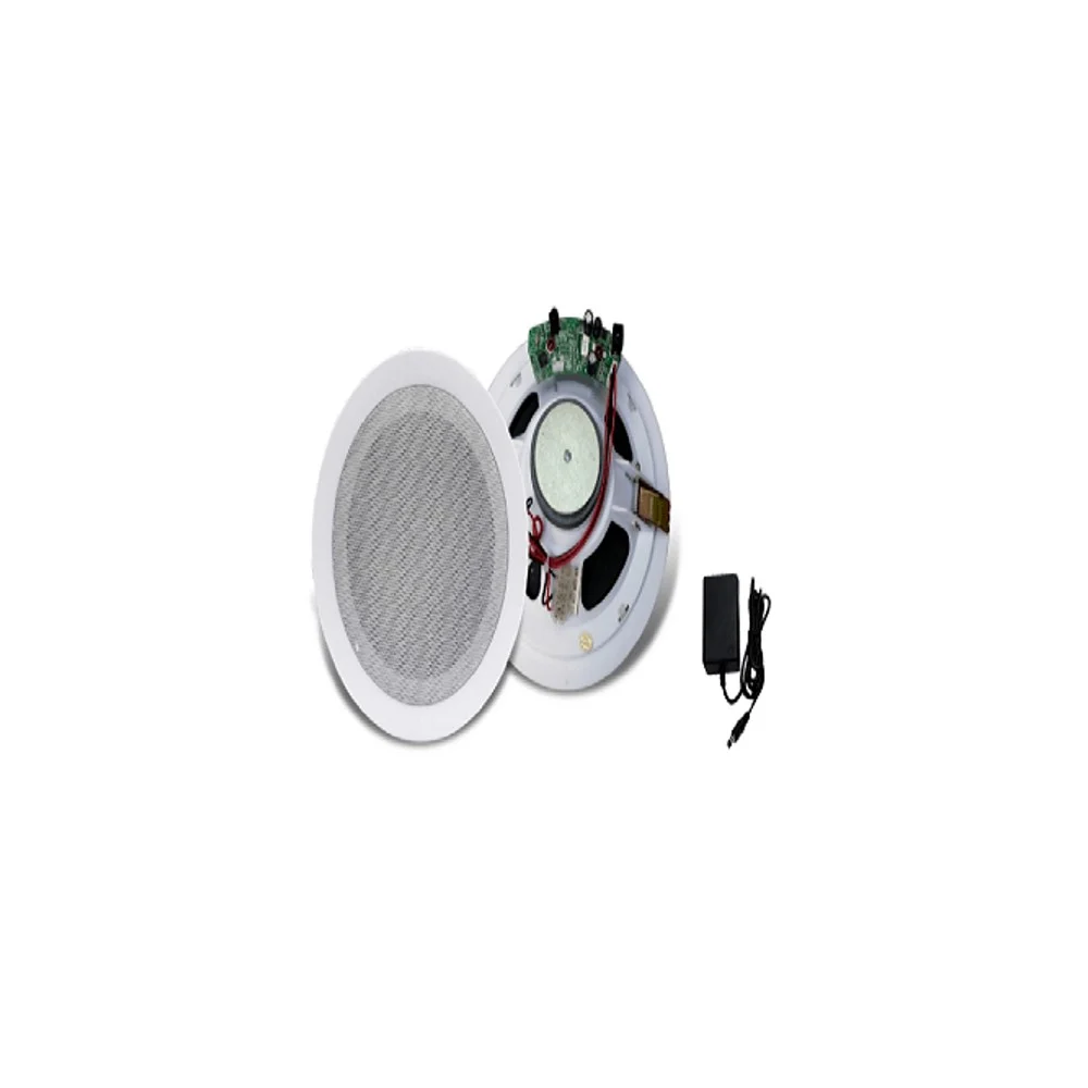 اسپیکر FGsound Master