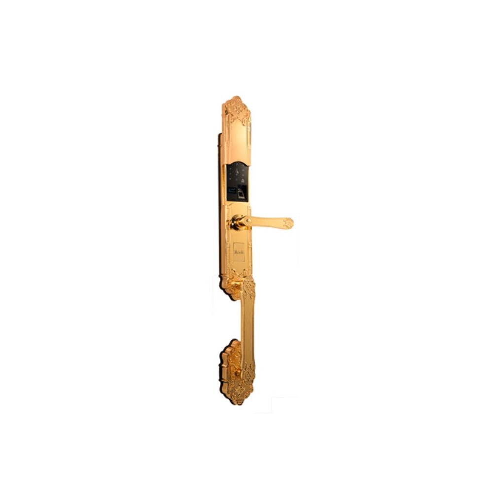 دستگیره هوشمند مدل C320 روک ROOK دستگیره هوشمند مدل C320 روک ROOK