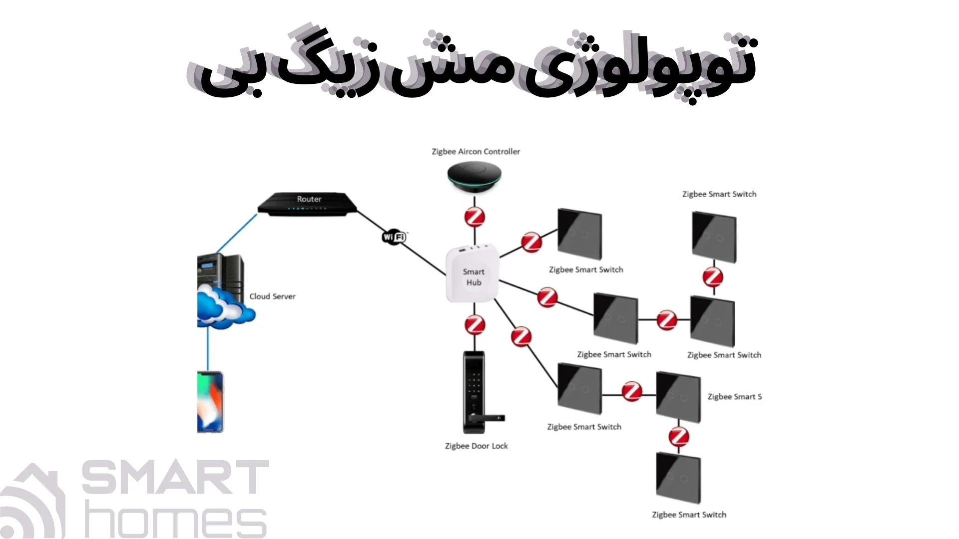توپولوژی مش زیگ بی